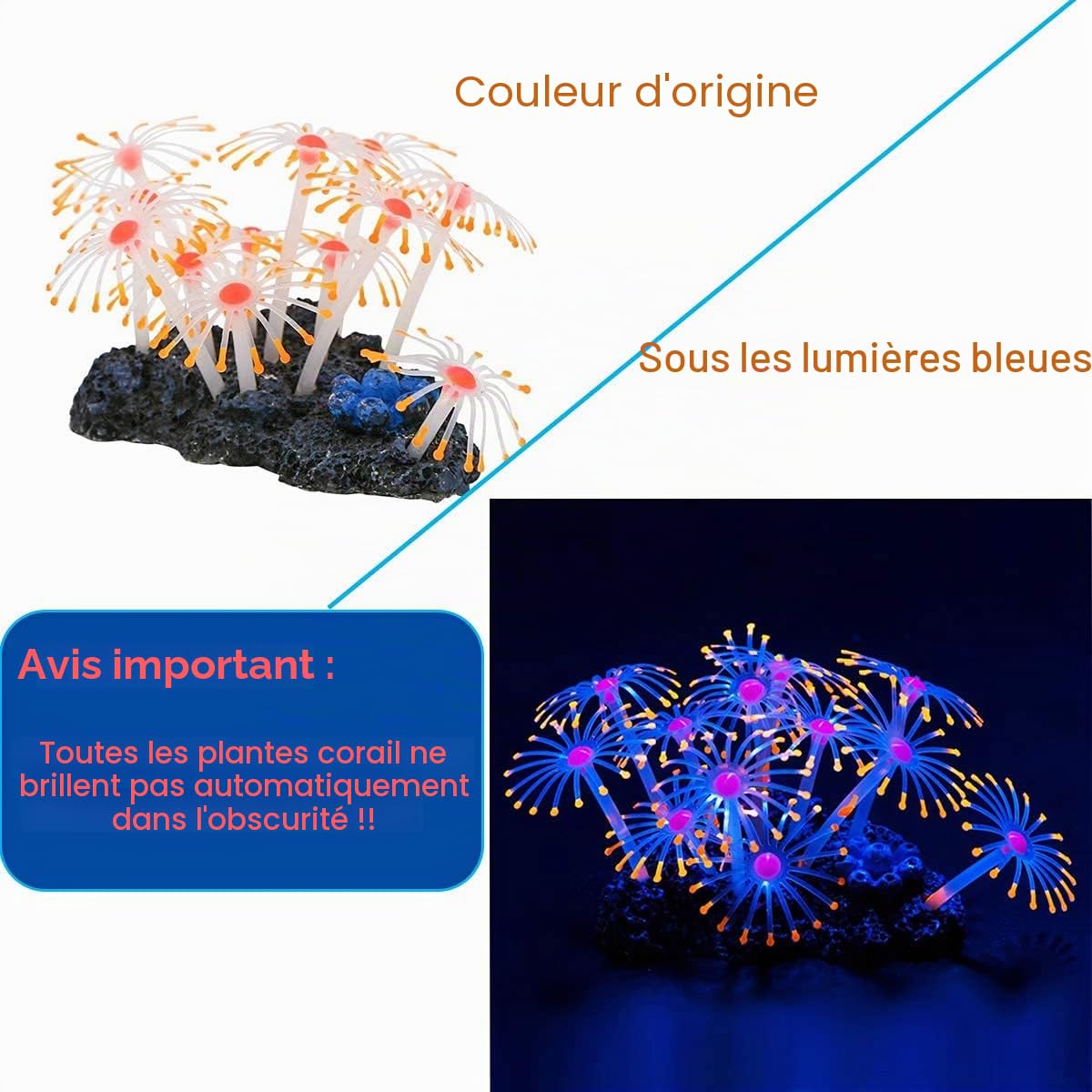 Podazz Lot de 4 Décorations Fluorescentes pour Aquarium, Corail Artificiel et Anémone en Silicone avec Ventouse, Ornements Aquarium pour Eau Douce, Eau de Mer, Nano Bac et Décor Récif