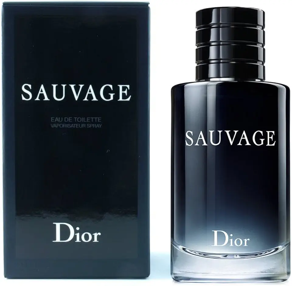 Sauvage Masculino de Christian Dior Eau de Toilette 100ml