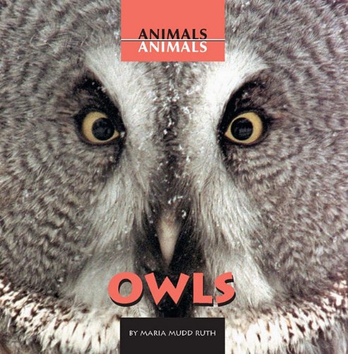 Maria Ruth Mudd Owls (Animals Animals): Mudd-Ruth, Maria: 9780761417521: Amazon.com: Books
