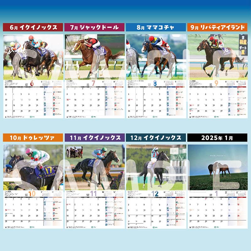 ◎JRA日本中央競馬会２０２４年壁掛け大判カレンダー　非売品セット : JRA 2024 カレンダー 日本競馬会創立70周年記念 使用時