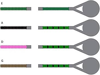 Amazon.com: Pirastro Evah Pirazzi 4/4 Violin String Set