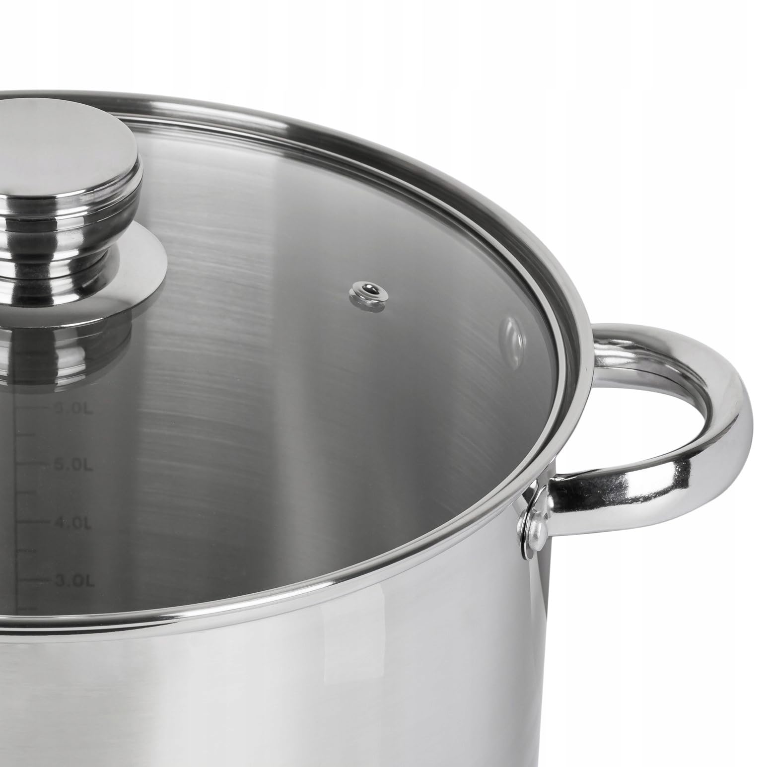 Grande Marmite en Acier Inoxydable 12L avec Couvercle en Verre pour Induction, Gaz 28cm Grande Casserole XXL