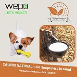 Ver la foto 2