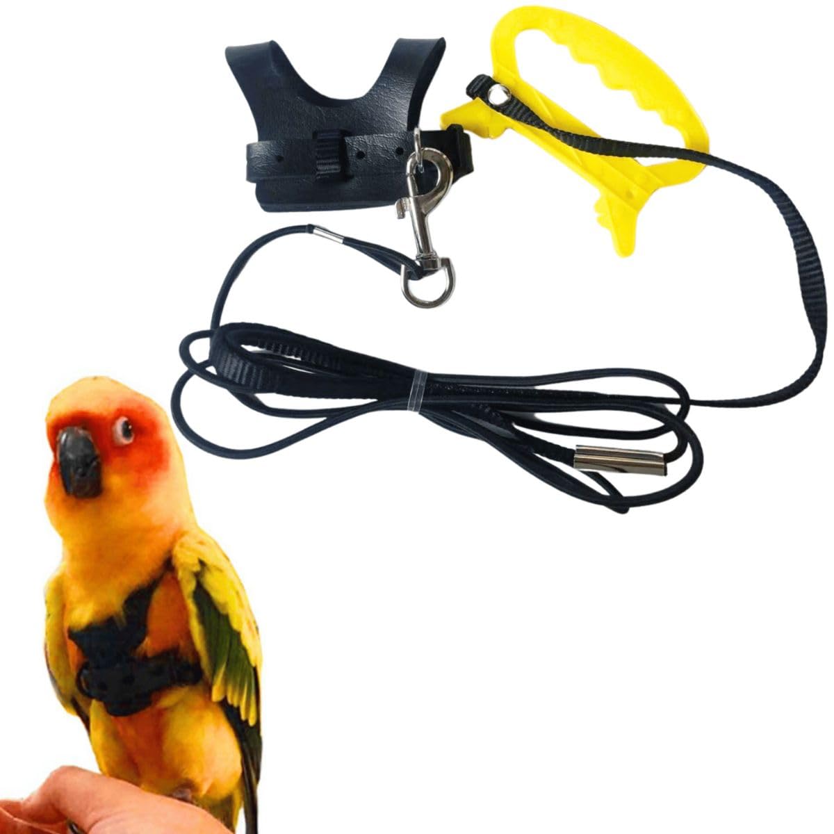 Bird Flight Harness Vest, Parrot Flight Suit with Leash for Parakeets Cockatiels Conures Budgies, Bird Flying Clothes with Rope and Handle for Outdoor Activities Training, Anti Bite (M)