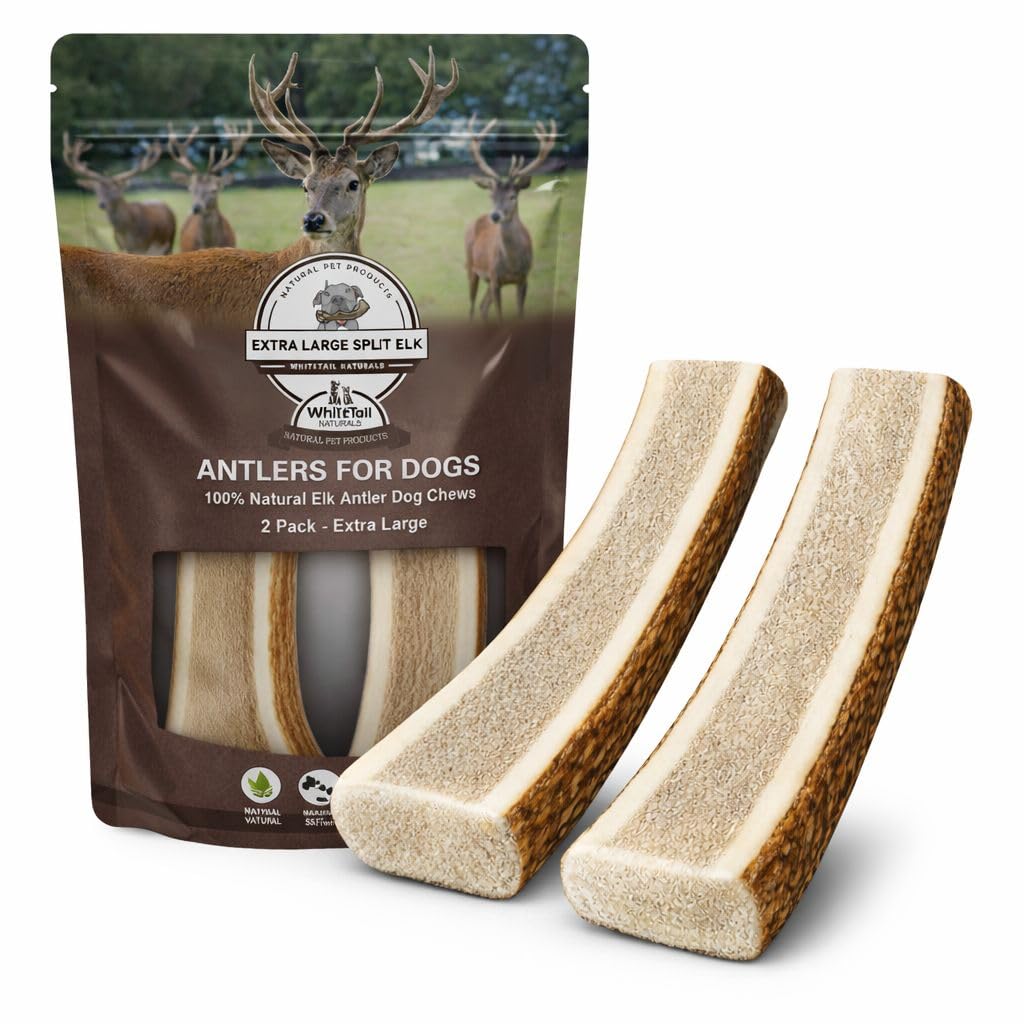 WhiteTail Naturals 2 astas de alce compartidas extragrandes para perros grandes (XL), astas para perros, caso natural, huesos para masticar cuerno de alce para
