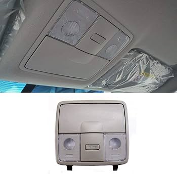 Amazon.com: Genuine OEM 92810-1M000-8O Overhead Console Lamp