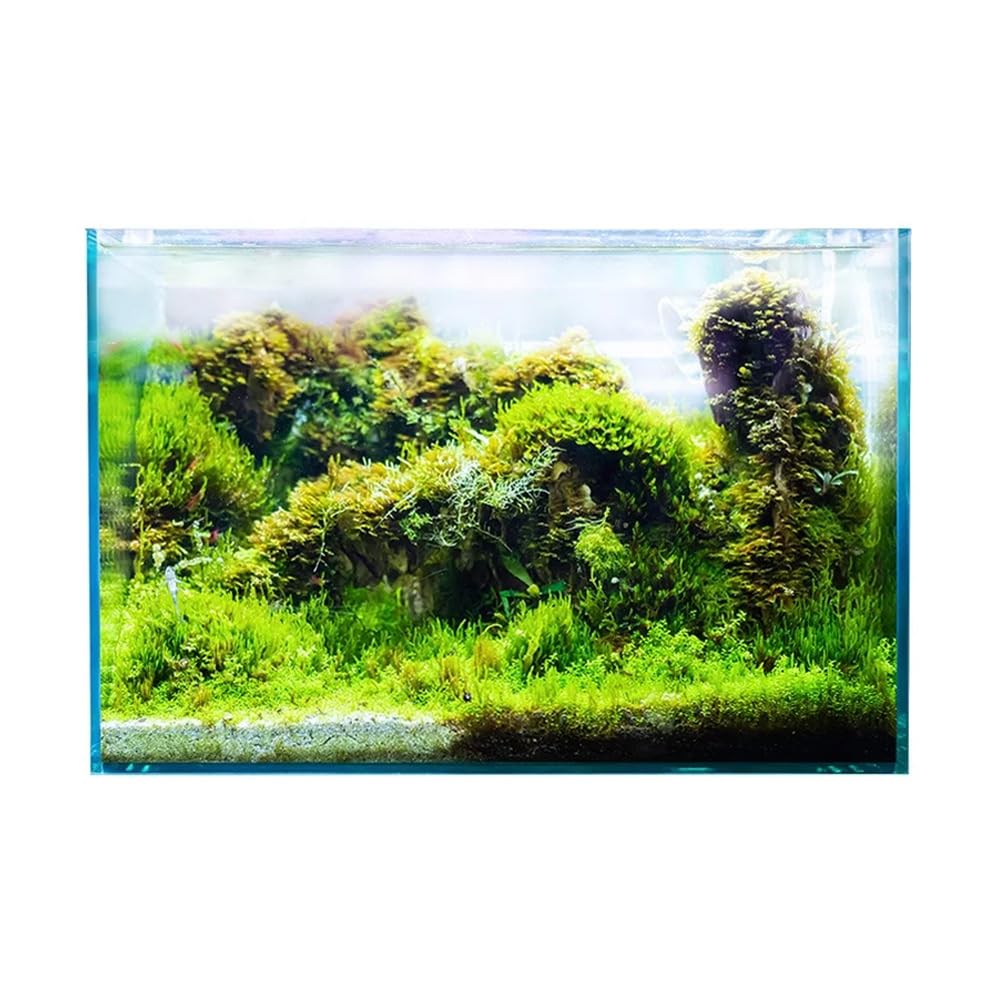 Swell Glass Aquarium Aqua Oasis, Crystal-Clear, 10.8l - 63l Capacity, Customisable Design, for Freshwater and Marine Fish, (35cm)