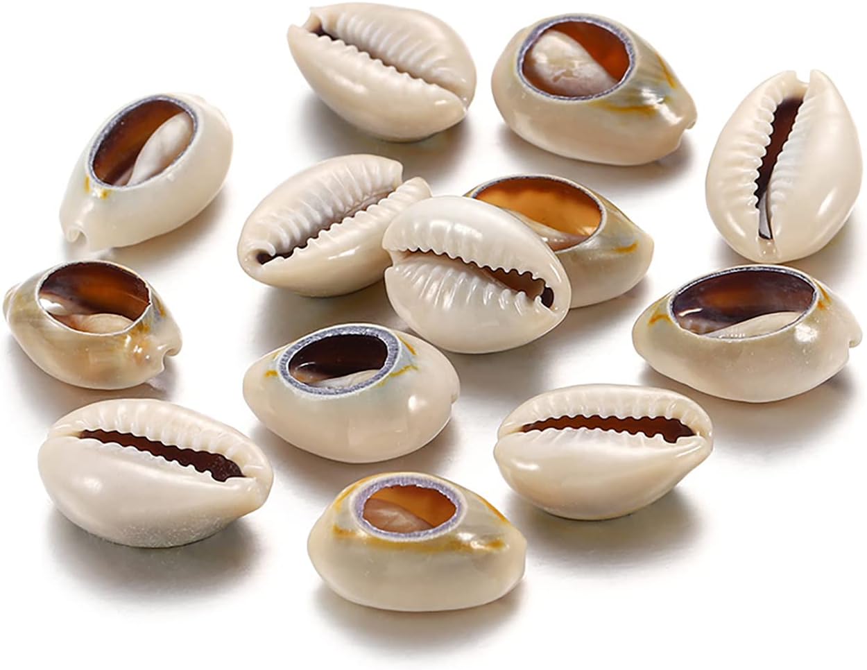 800pcs Gray 16mm Natural Spiral Shell Beads Smooth Cut Oval Beach Seashells Cowrie Shell Loose Spacer Beads Charms No Hole for Summer DIY Earring Bracelet Necklace Jewelry Making