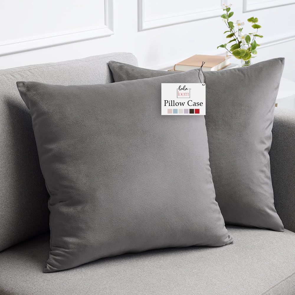 lalaLOOM Juego de 2 fundas de almohada de terciopelo, la funda decorativa más suave para almohadas, fundas cuadradas decorativas para decoración del hogar, funda sedosa para sofá, dormitorio, sala de