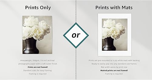 Miniatura 4 de Lisa Russo Fine Art - Vintage Style Laundry Room Wall Art - Set of 4 Prints - Not Framed (4 5x7 Prints Only)