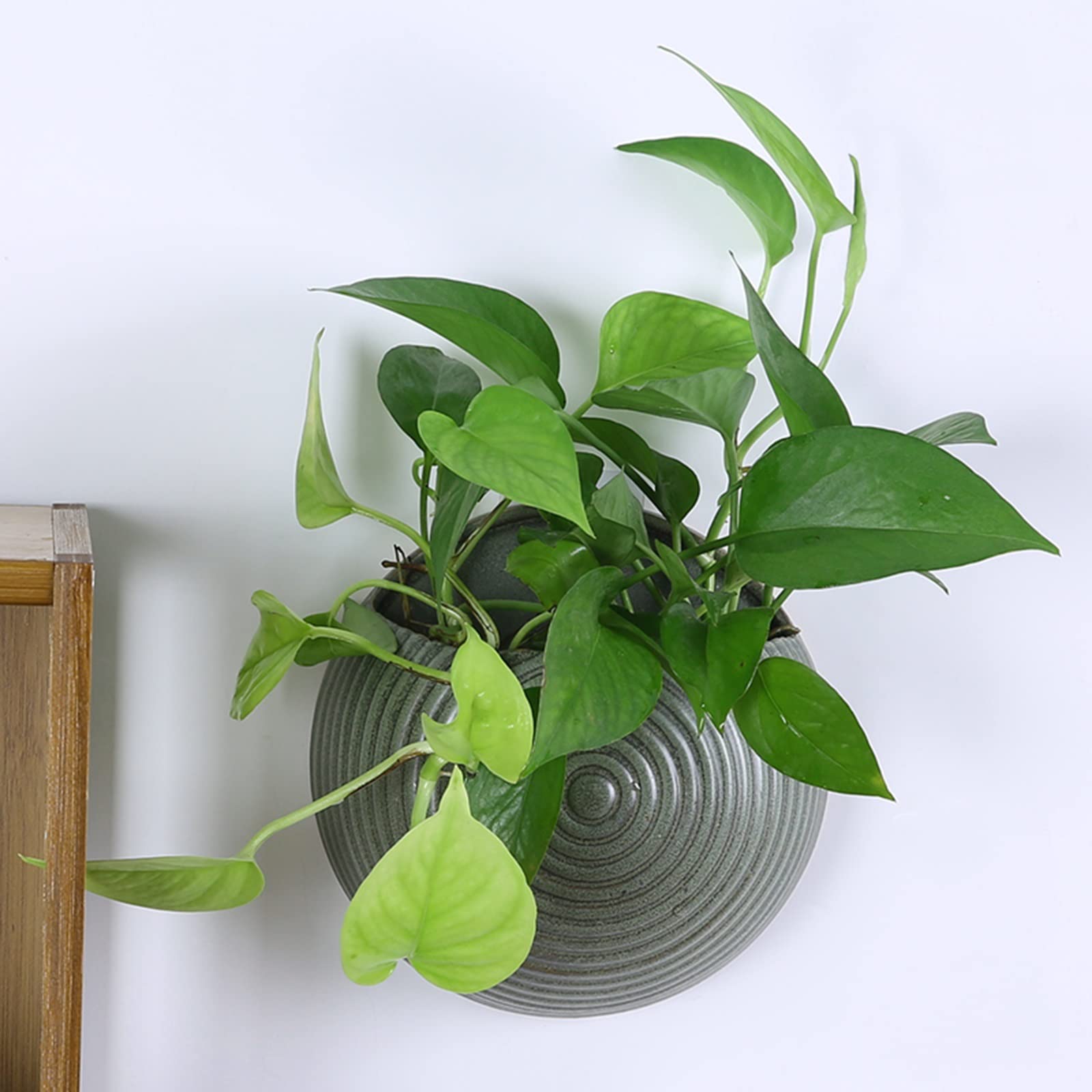 HASMI Jardiniere Balcon Planteur Mural à Suspension Ronde Planteur de Fleur d'extérieur avec Trou de Drainage céramique Plante Pot for Les Plantes suspendues Pot Suspendu Plante Interieur