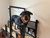 Review Image by Gracie