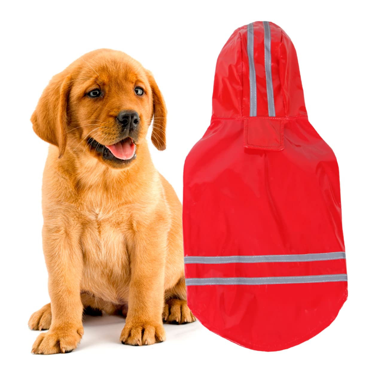 Manteaux de Pluie pour Chien imperméables, imperméable pour Chien, 3 pièces pour Animaux de Compagnie, Veste de Pluie pour Animaux de Compagnie, Manteau de plui