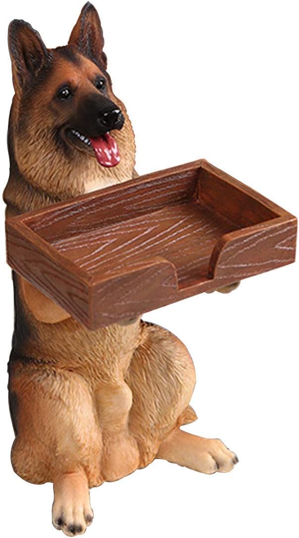 Business Card Holder Display Stand, Desktop Name Card Organizer, Table Accessories