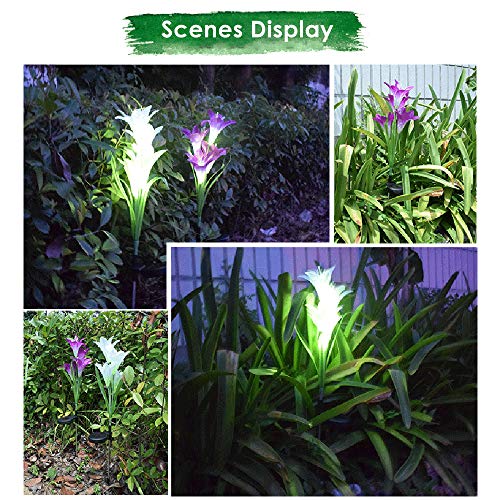 Ajcoflt LEDs flor movidos a energia solar Luz RGB Gramado Lâmpada IP55 Resistência à água Built-in 3