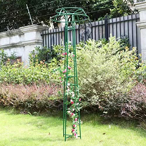 Obélisque de jardin en métal support plantes treillis extérieur pour légumes