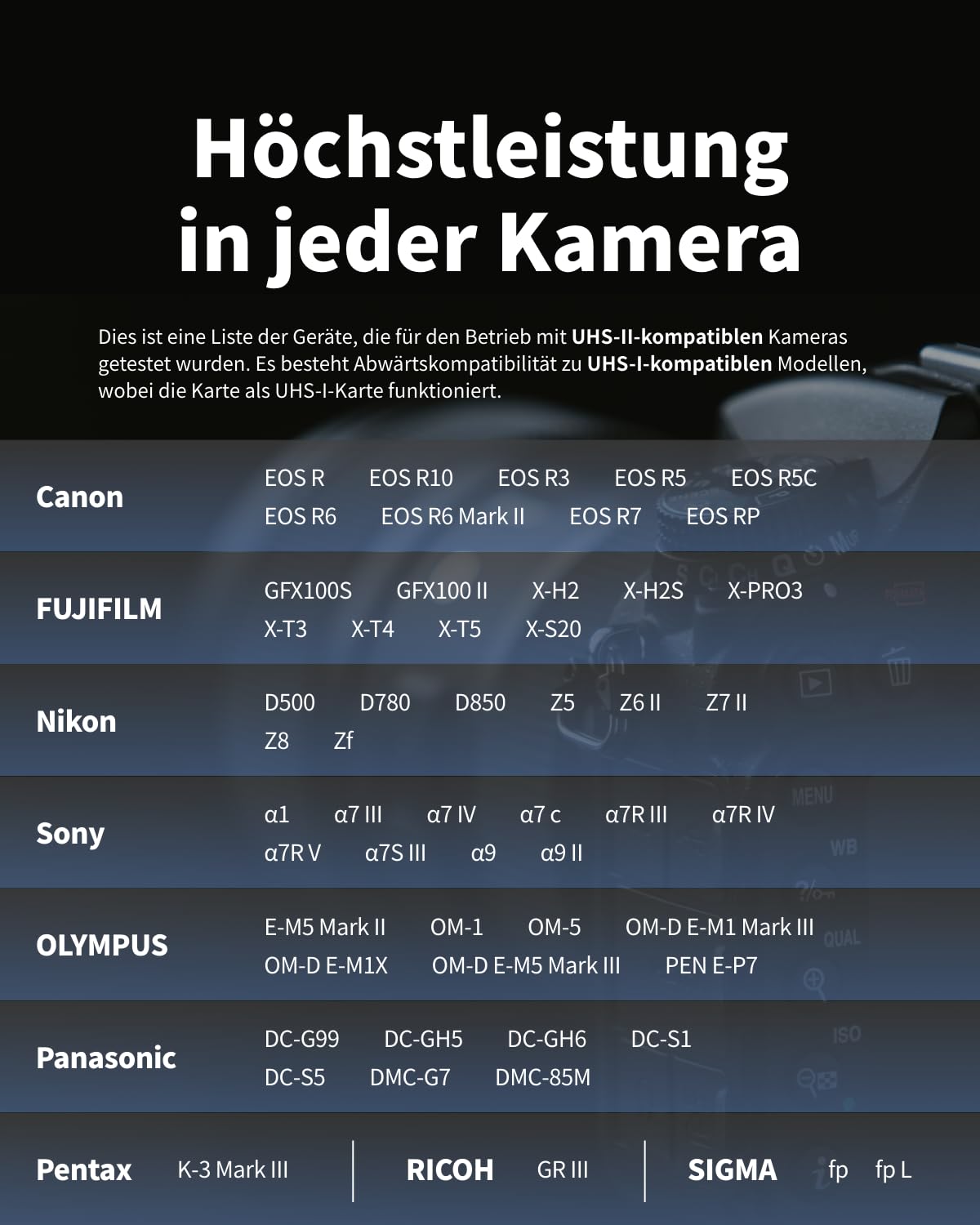 Nextorage SD Karte 256GB UHS-II SDXC, japanische speicherkarte datenspeicher SD Card, Kamera Zubehör für Nikon/Canon/Sony/Fujifilm/Nintendo Switch, F2PRO NX-F2PRO256G