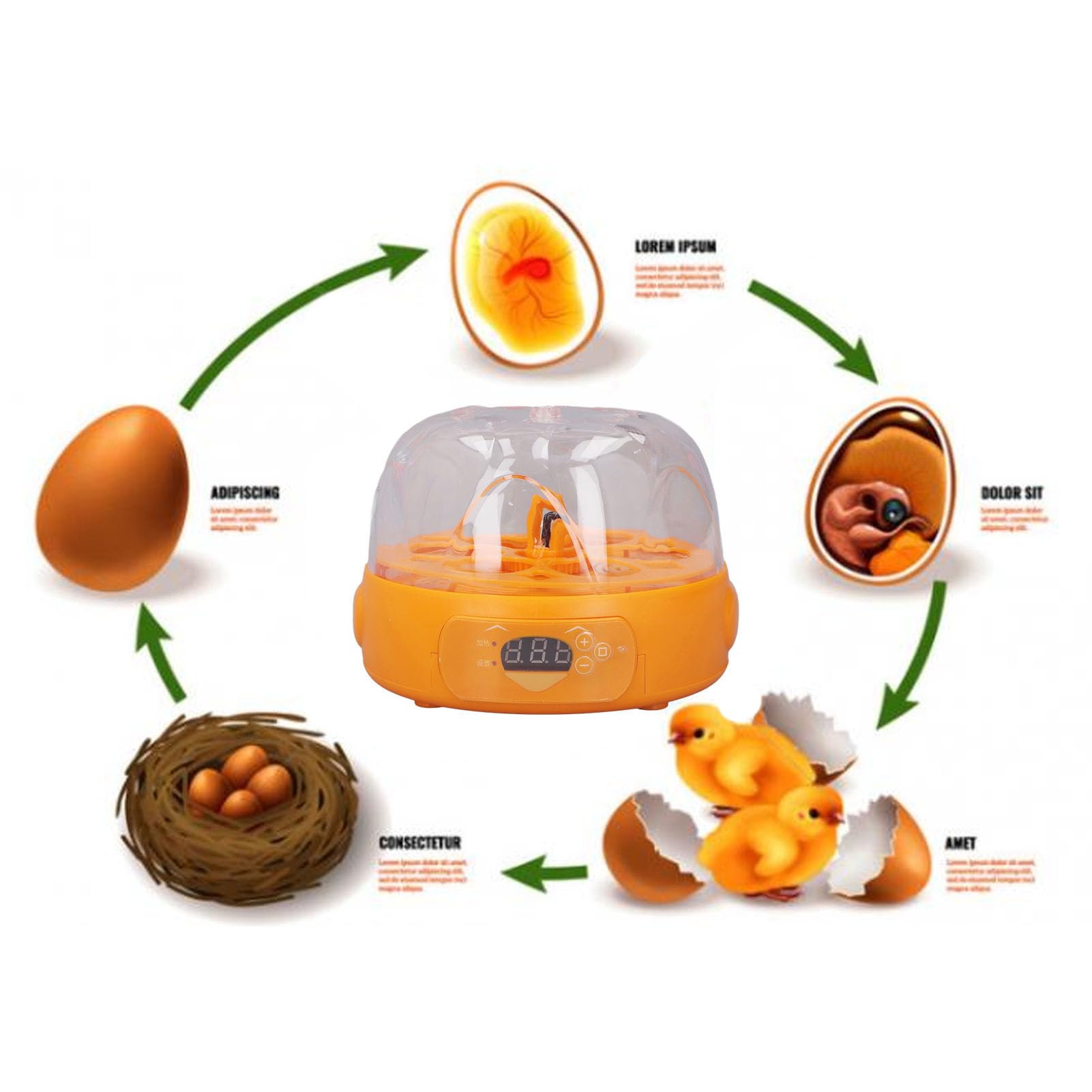 Incubadora de huevos, mini incubadora digital de huevos con giro automático de huevos, control de temperatura, pequeña incubadora de 6 huevos, máquina para incubar aves de corral para incubar huevos