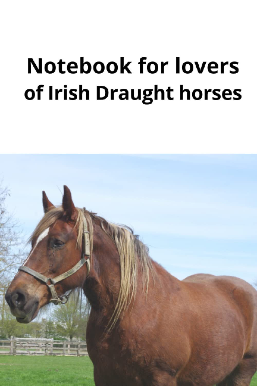 Notebook for lovers of Irish Draught horses: Do you love horses, then you must love Irish Draught horses. (Notebook for horse lovers.)
