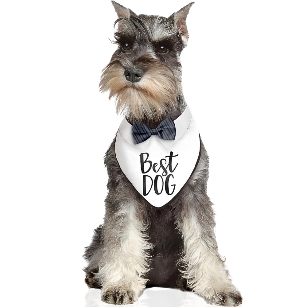 Bandana dog Amscan pour fêter le anniversaire de votre chien