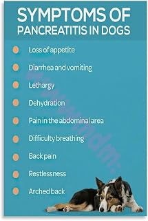 Symptoms Of Pancreatitis In Dogs Poster Pet Clinic Wall Art Canvas Painting Posters And Prints Wall Art for Living Room Bedroom Decor 16x24inch(40x60cm) Unframe-style