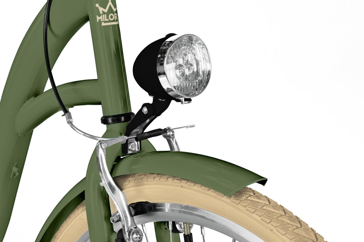Balticuz OU Komfort Fahrrad mit Rückenträger, Hollandrad, Damenfahrrad, Citybike, Retro, Vintage, 26 Zoll, Grün-Creme, 7-Gang Sport & 