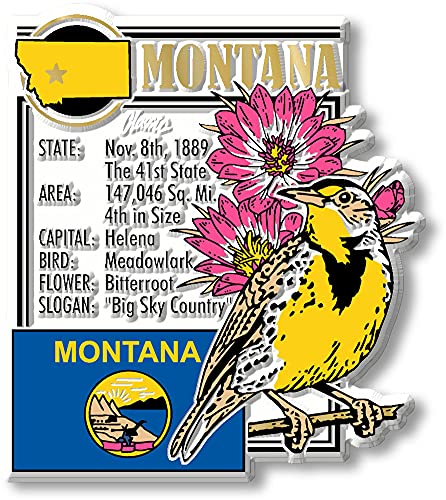 Set de 6 imanes de estado Montana vintage en goma miniatura 2
