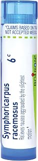 Boiron Symphoricarpus Racemosus 6C for Nausea Aggravated by Motion - 80 Pellets