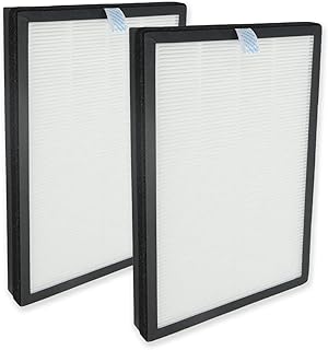 PUREBURG Replacement True HEPA Filters Compatible with HIMOX H04 Air Purifier,H13 4-Stage Filtration High-efficiency Activated carbon Air Clean, 2-Pack