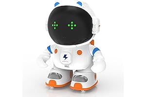 KaeKid Ceno Robot: A Smart and Interactive Robotic Buddy for Kids