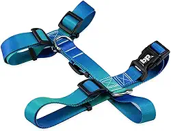 Coleira Peitoral Para Cachorro Cães Modelo H Tradicional Tamanho Porte Grande Médio Pequeno (Lake, G)