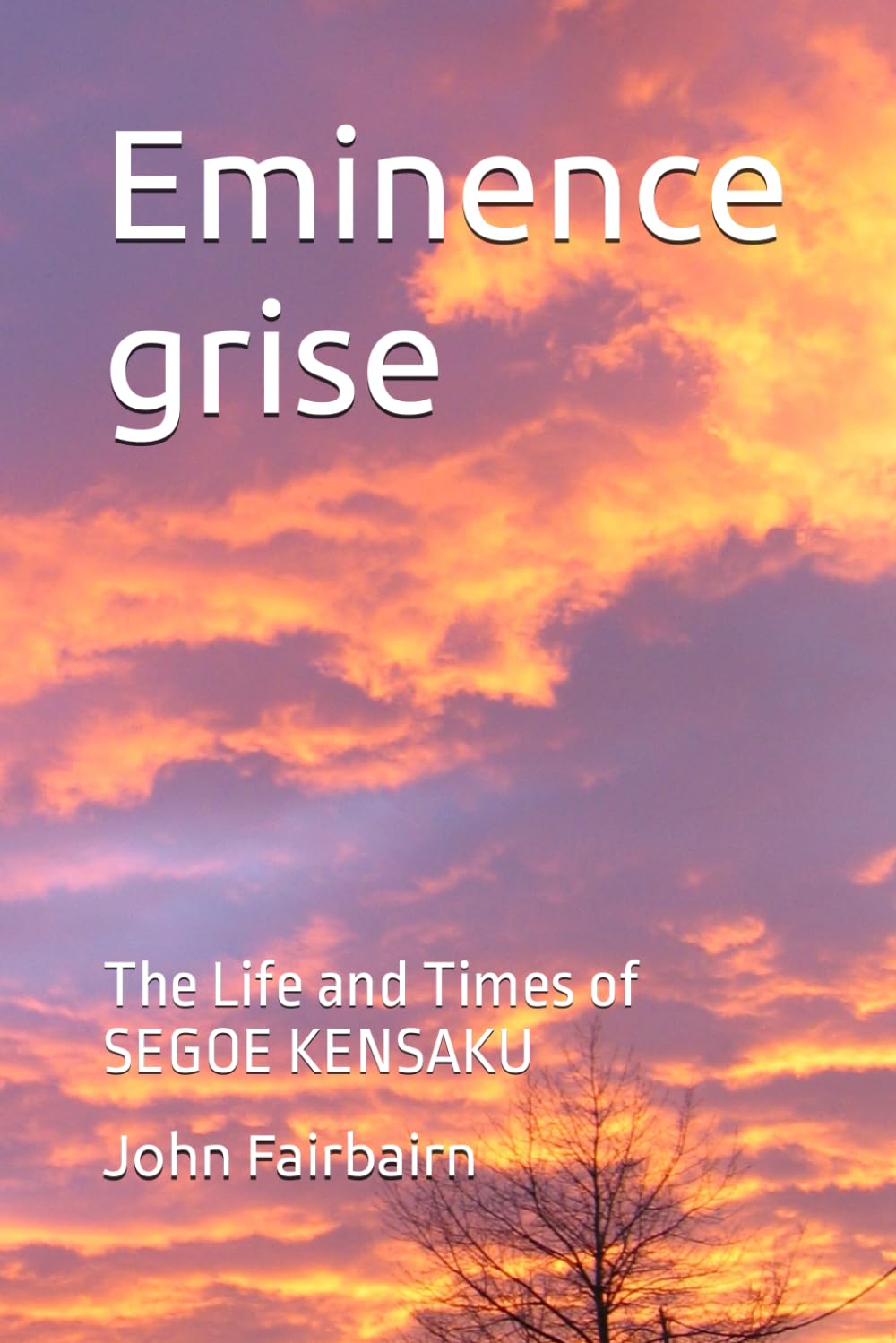 Eminence grise: The Life and Times of SEGOE KENSAKU