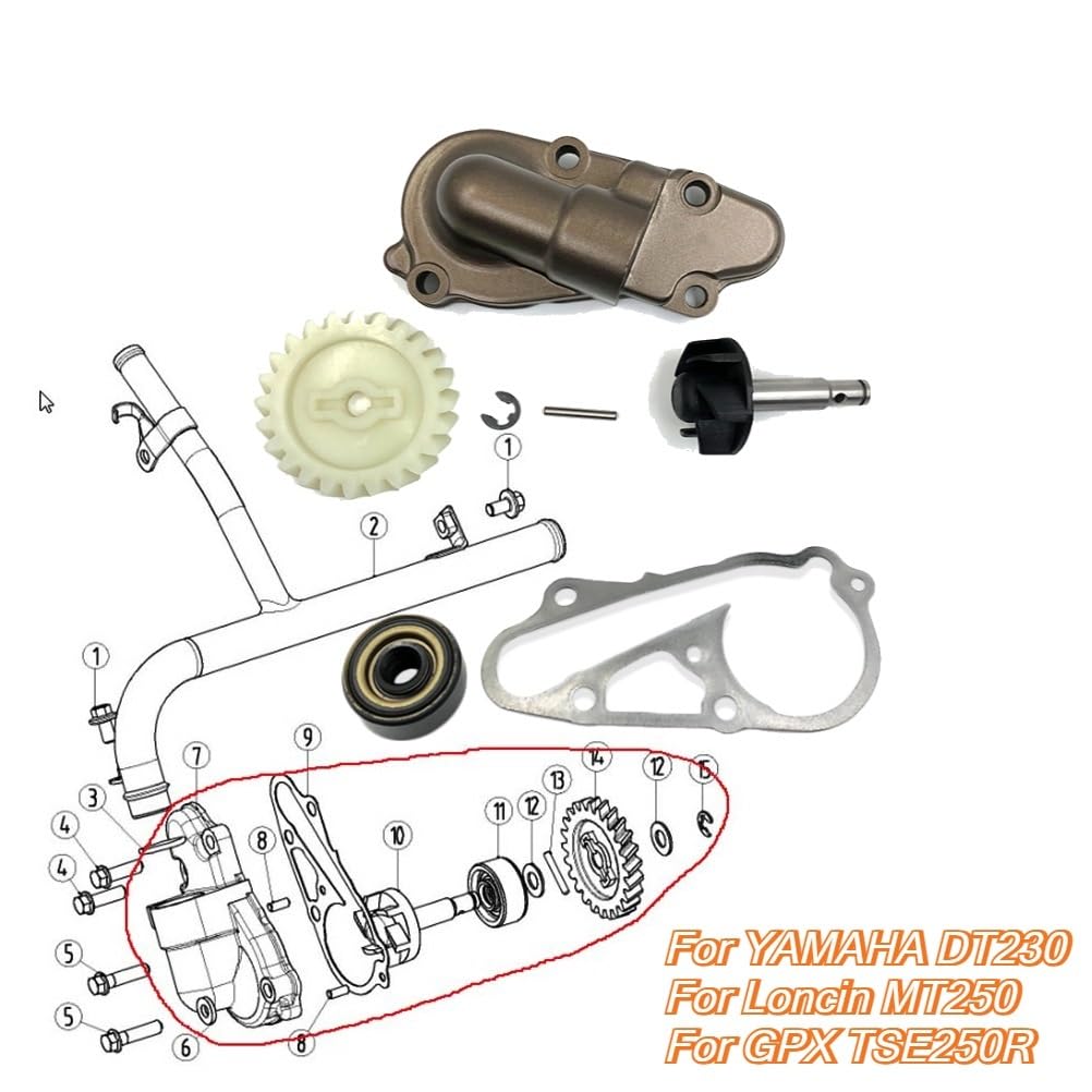 Części motocyklowe Zespół pompy Pasuje do YAMAHA pasuje do motocykla LONCIN GPX DT230 MT250 pompa wody chłodzącej silnik przekładnia wirnika uszczelka pokrywa(Cooling Pump Gear)