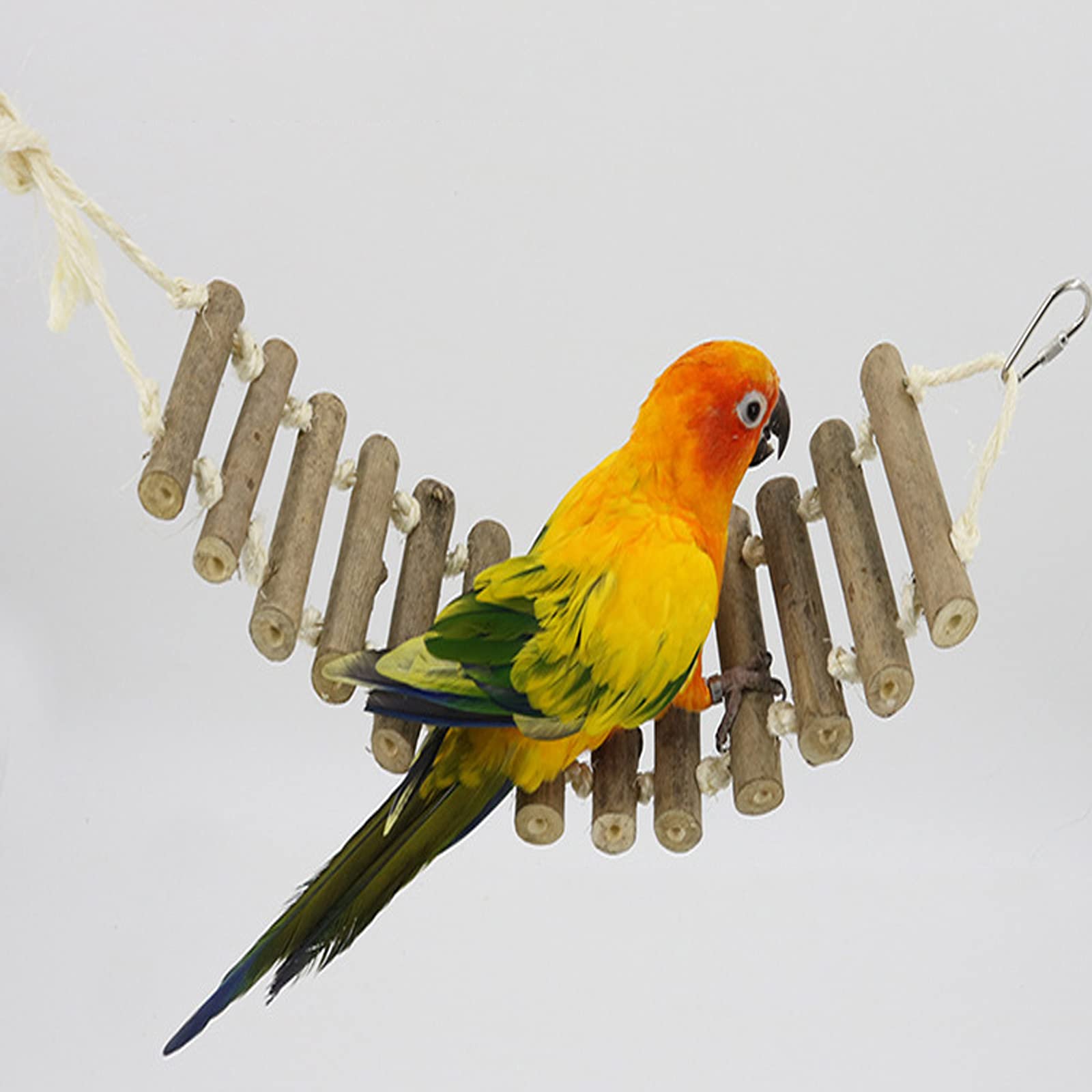 Echelle à Oiseaux Oiseaux Balançoires Echelles Pont pour Perroquets Jouets Suspendre Perroquet éChelle de Perroquet Naturelle, pour Perruches Perruches Perroquets Gris Africain
