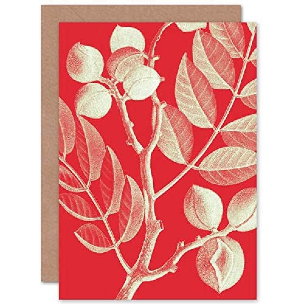 Wee Blue Coo Blue/Red Wee Coo Modern Bold Biodiversity Plant Greeting Card With Envelope Inside Premium Quality