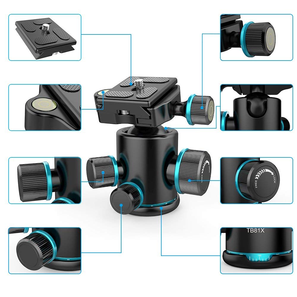 Andoer Kugelkopf Stativkopf 360 Grad Drehbar Panorama-Kugelkopf für Stativ Einbeinstativ Slider DSLR-Kamera mit 3pcs Schraube Adapter