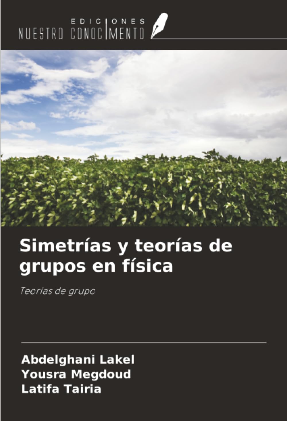 Simetrías y teorías de grupos en física: Teorías de grupo