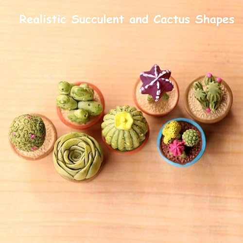 Miniatura 6 de Accesorios de jardín de hadas para suculentas y cactus, adornos en miniatura con palabras, suministros de jardín de hadas para maceta, micro