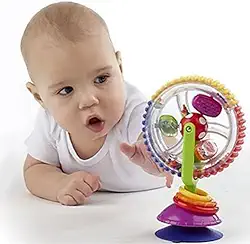 Brinquedo Rodinha Sensorial Giratoria Atividade Interativa