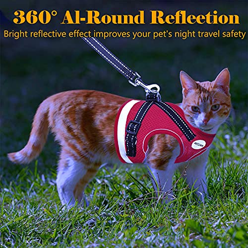 Avccava Cat Harness And Leash For Walking, Escape Proof Soft And Breathable Adjustable Vest Harness For Cats, Lightweight Easy To Control Medium Dog Kitten Harness, Comfortable Outdoor Jacket #TOP5