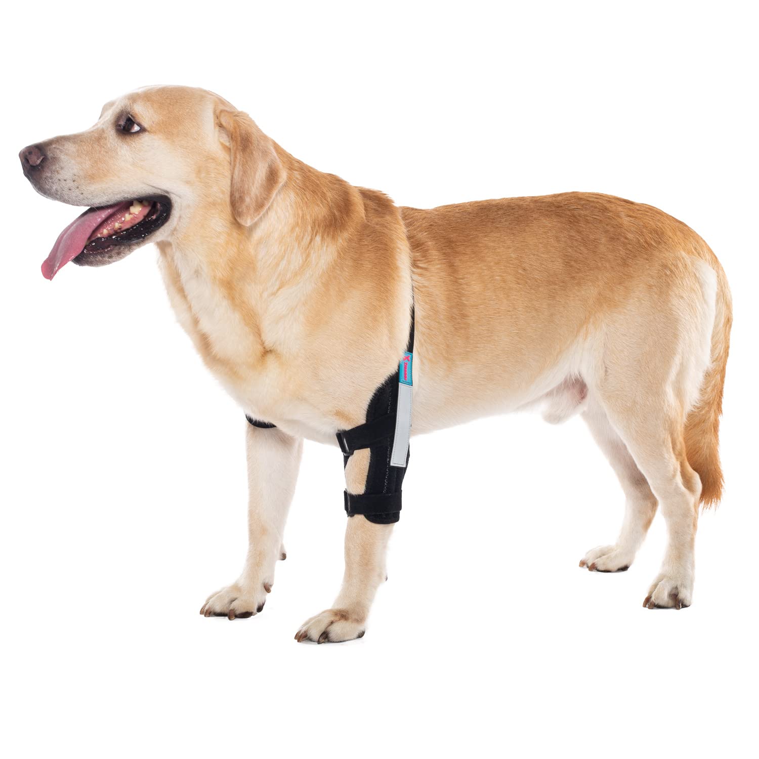 Dog Elbow Brace for Treat ACL CCL, Front Leg Brace Wrap with Metal Spring Strips for Dogs with osteoarthritis, limping from Joint Pain, Keeps The Joint Warm and Stable (XL_Right)