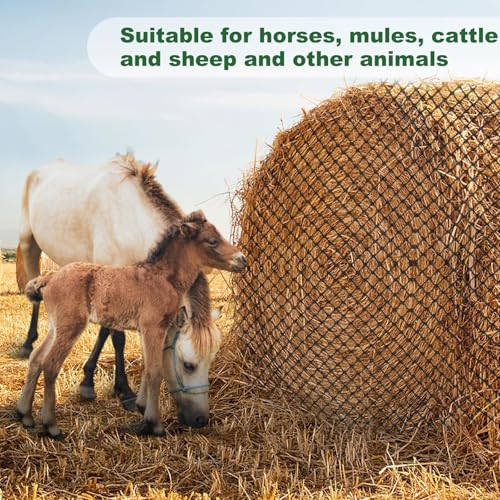 Red de alimentación de heno para caballos, diseño de balas redondas sin nudos y con agujeros de 2 pulgadas para una fácil alimentación, red resistente para ponis, burros y ganado