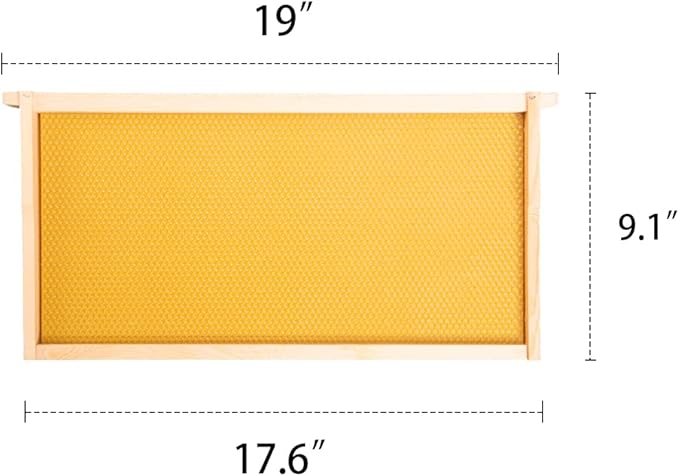 MayBee 20 Pack Marco de Abeja con Cera 9-1/8 Pulgadas miniatura 3