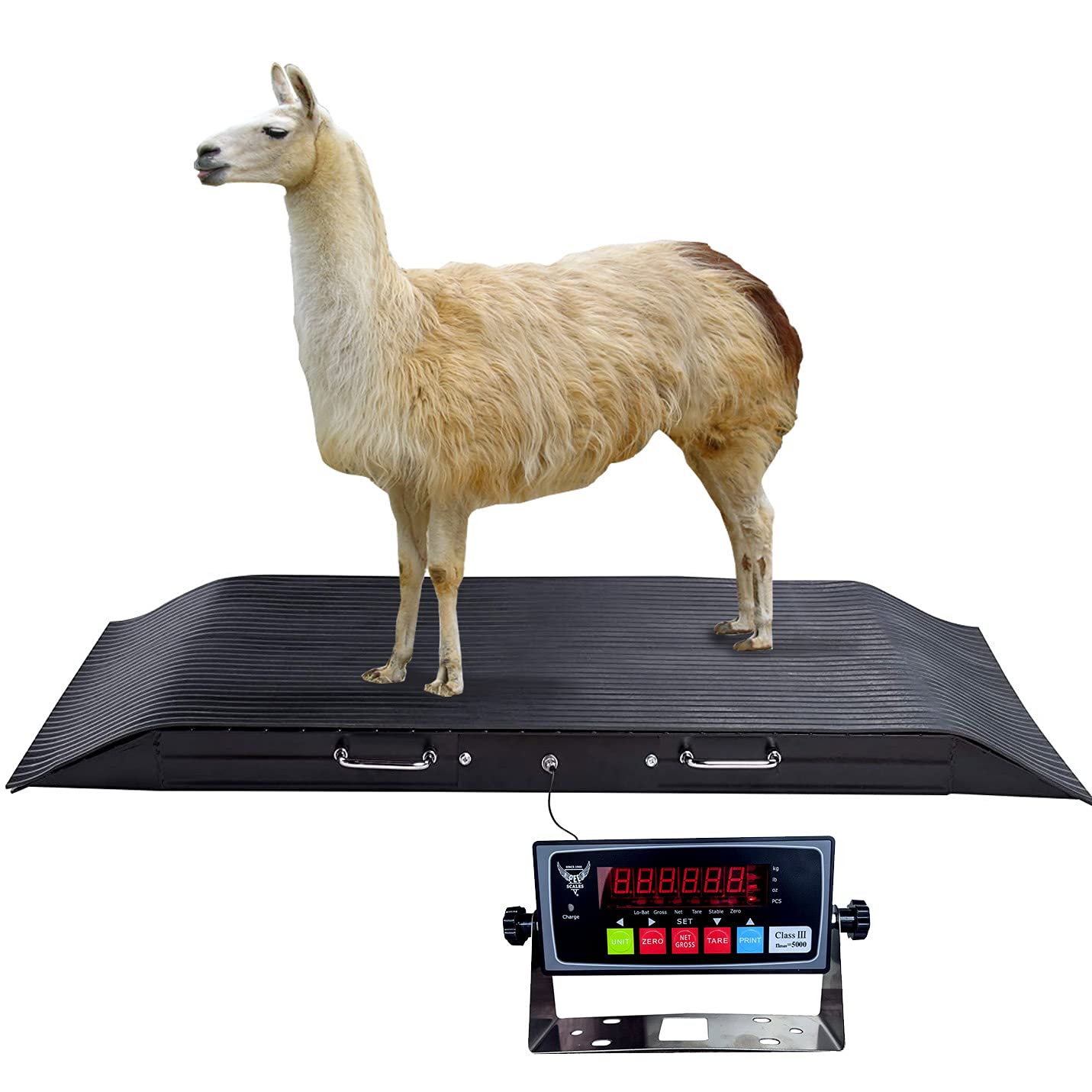 PEC Scales Medium Livestock Scale/Farm Animal Weighing Equipment