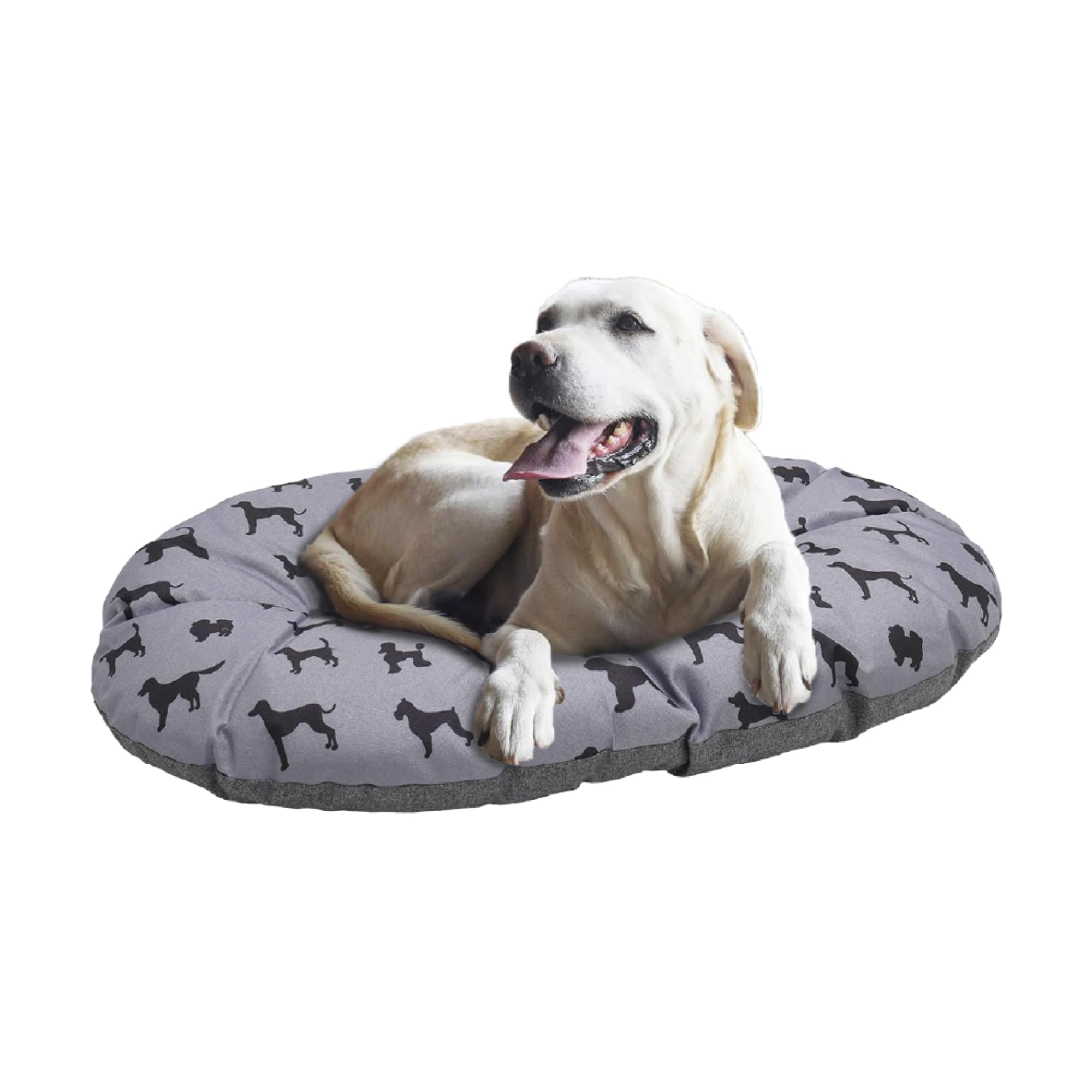 Hundebedarf