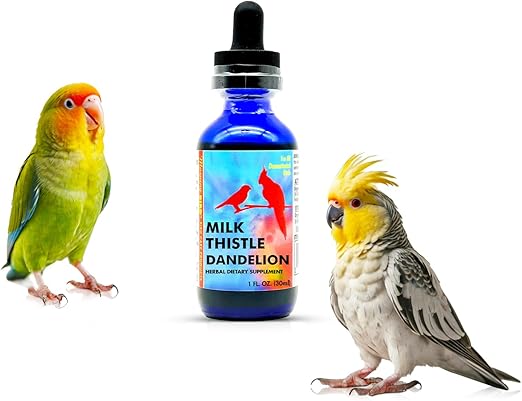 Morning Bird Milk Thistle & Dandelion Extract - Organic Bird Supplement for Optimal Health – Support Liver Heath & Promotes Detox - Suitable for All Birds Species 1 fl oz