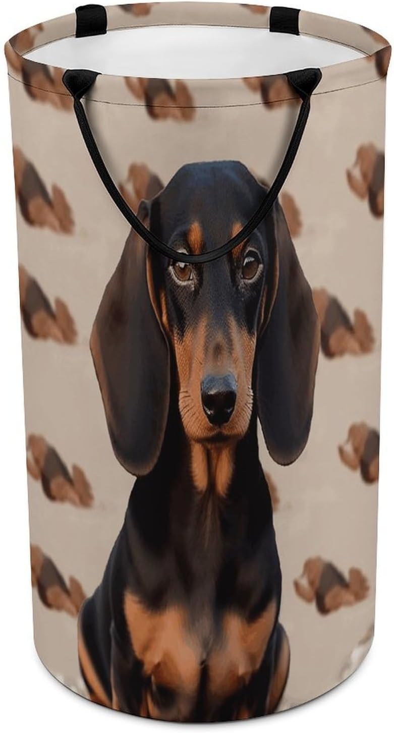 Dachshund Dog Dirty Clothes Basket Large Capacity Laundry Basket Freestanding Laundrys Hampers Tall Collapsible Clothes Hamper for Blankets Toys