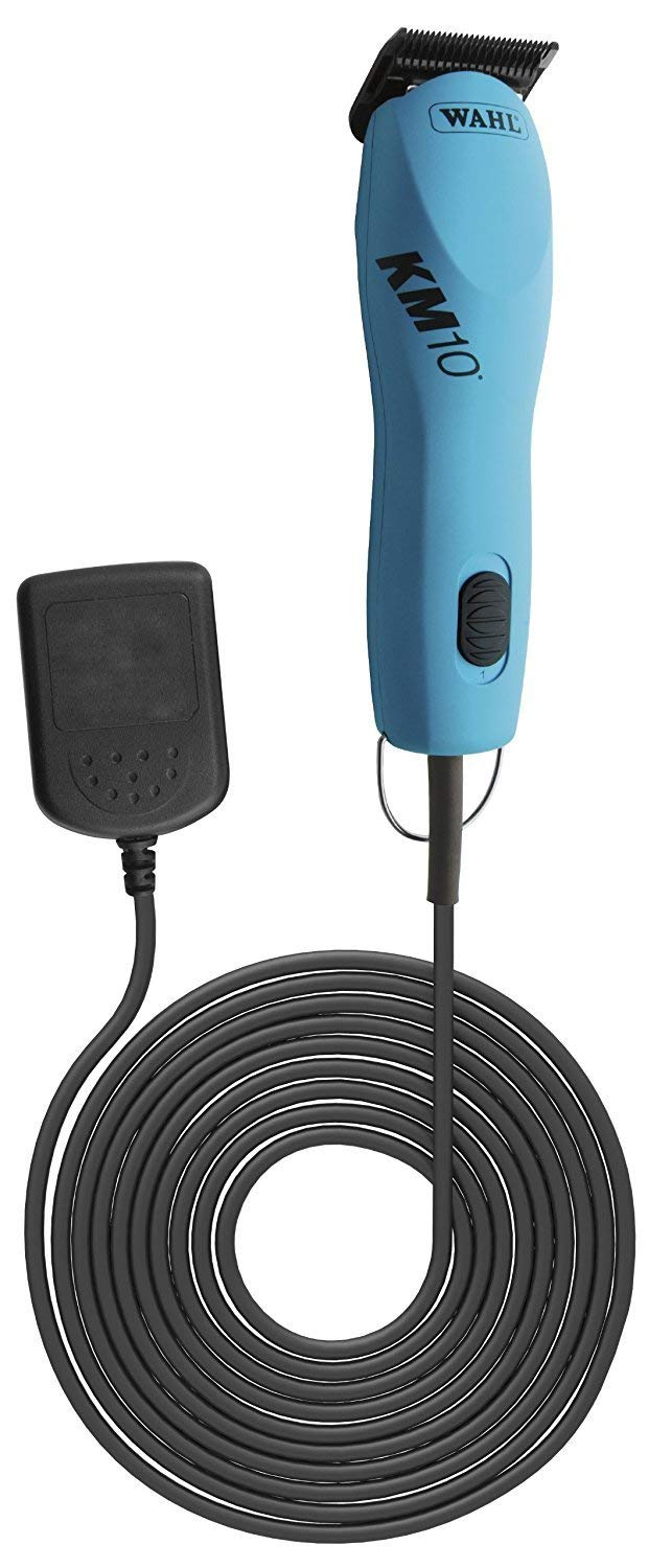 https://m.media-amazon.com/images/I/614laIaoZPL.jpg