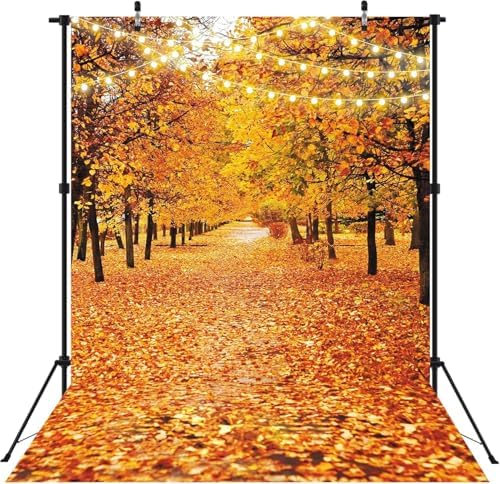 5x7FT Autumn Forest Backdrop Banner for Photography Natural Scenery Fall Landscape Leaves Thanksgiving Party Decorations Background Photo Shoot Props Supplies