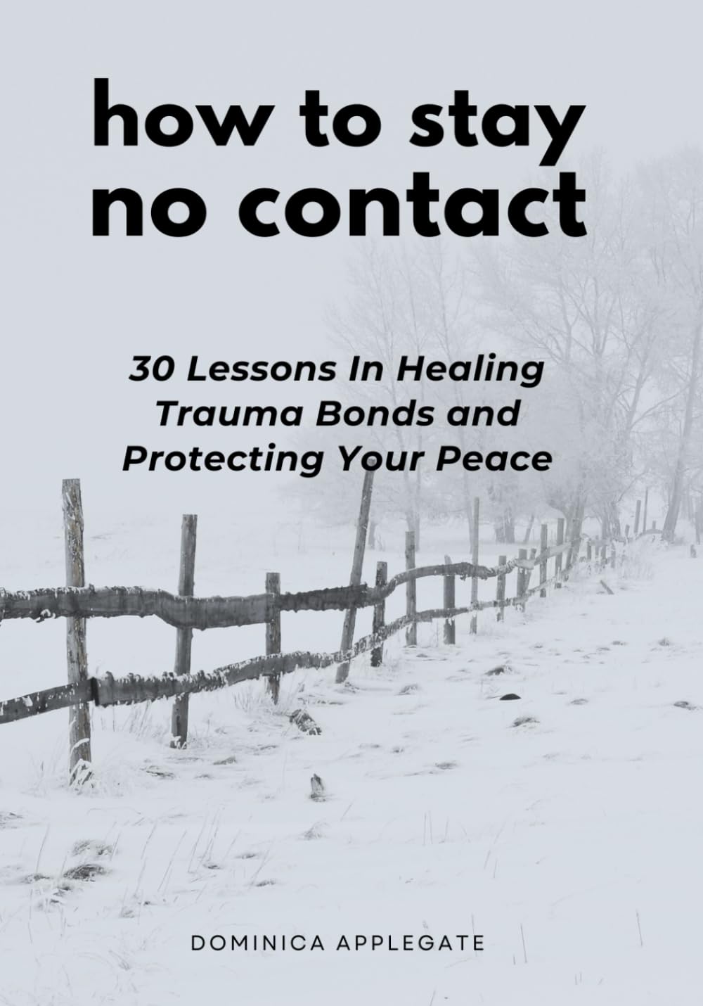 How To Stay No Contact: 30 Lessons in Healing Trauma Bonds and Protecting Your Peace